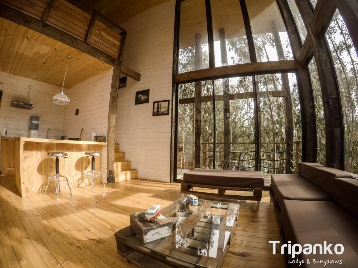 Tripanko Lodge & Bungalows Pichilemu Exteriör bild