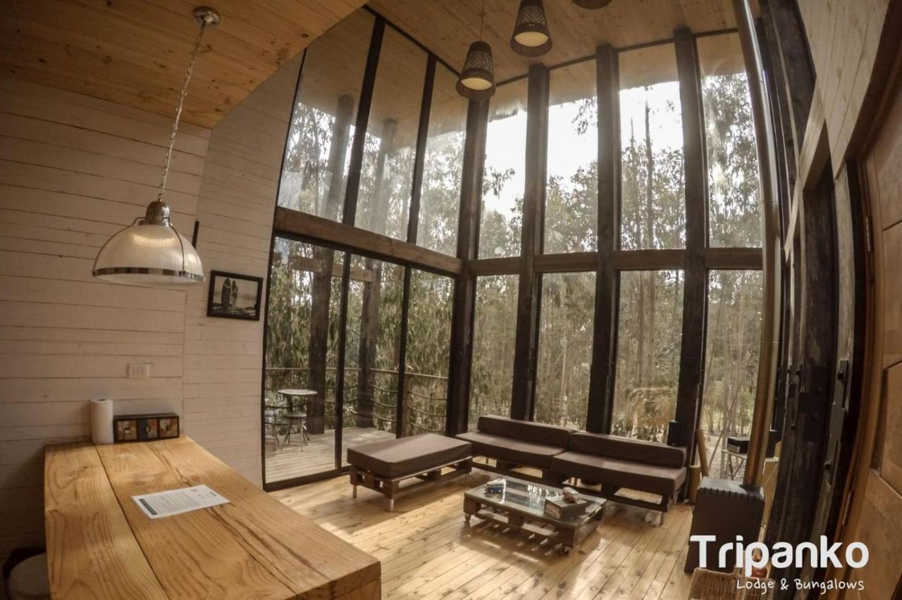 Tripanko Lodge & Bungalows Pichilemu Exteriör bild