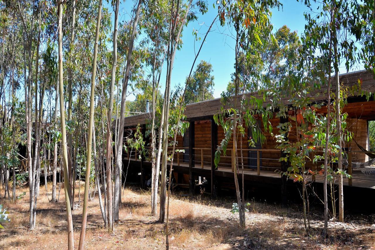 Tripanko Lodge & Bungalows Pichilemu Exteriör bild