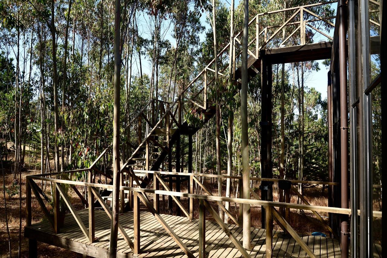 Tripanko Lodge & Bungalows Pichilemu Exteriör bild