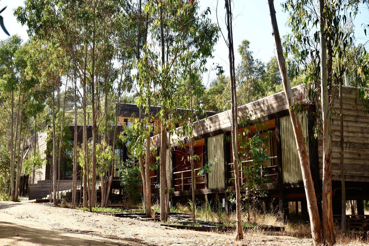 Tripanko Lodge & Bungalows Pichilemu Exteriör bild
