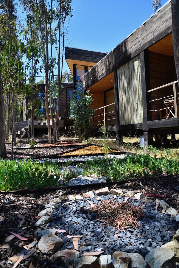 Tripanko Lodge & Bungalows Pichilemu Exteriör bild