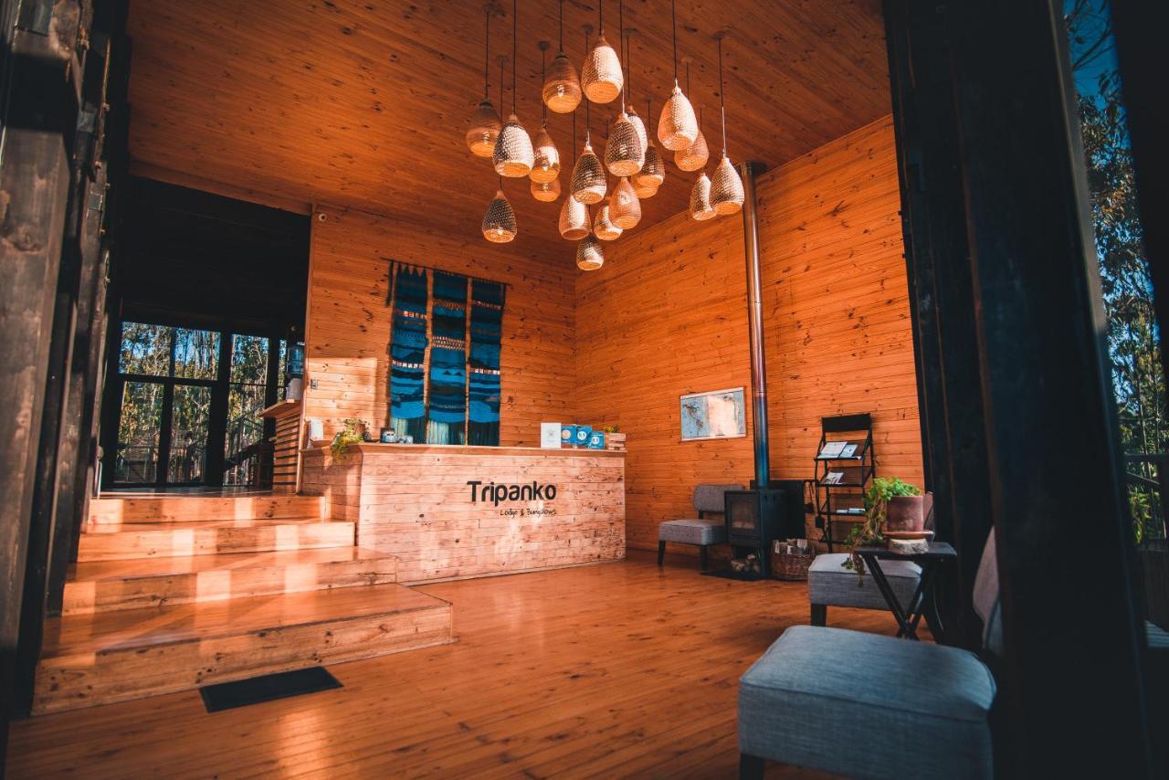 Tripanko Lodge & Bungalows Pichilemu Exteriör bild